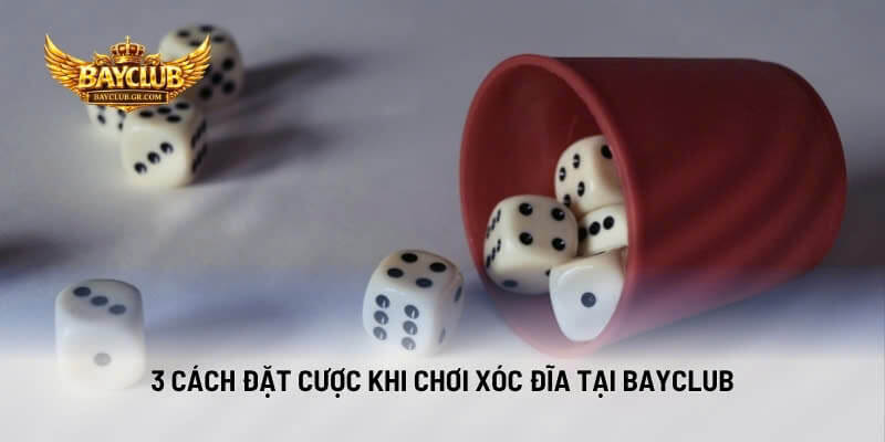 3 Cách Đặt Cược Khi Chơi Xóc Đĩa Tại BAYCLUB