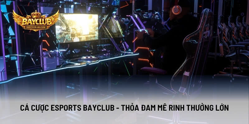 Cá Cược Esports BAYCLUB - Thỏa Đam Mê Rinh Thưởng Lớn
