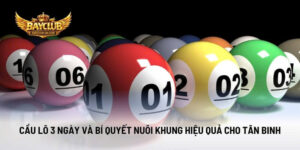 Cầu Lô 3 Ngày Và Bí Quyết Nuôi Khung Hiệu Quả Cho Tân Binh