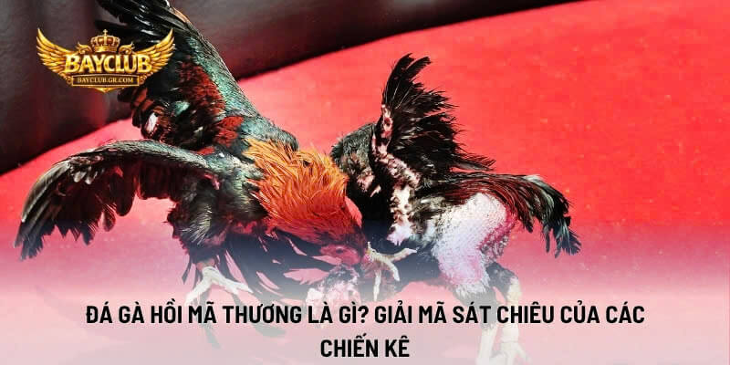 Đá Gà Hồi Mã Thương Là Gì? Giải Mã Sát Chiêu Của Các Chiến Kê