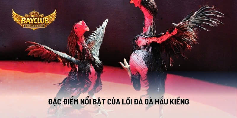 Đặc Điểm Nổi Bật Của Lối Đá Gà Hầu Kiềng
