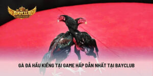 Gà Đá Hầu Kiềng Tại Game Hấp Dẫn Nhất Tại BAYCLUB