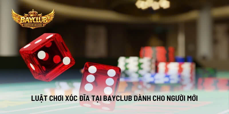 Luật Chơi Xóc Đĩa Tại BAYCLUB Dành Cho Người Mới