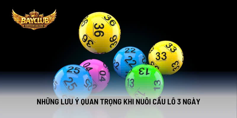 Những Lưu Ý Quan Trọng Khi Nuôi Cầu Lô 3 Ngày